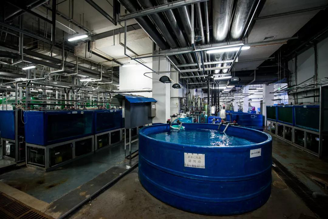 蠕動泵(bèng)用于克服三種(zhǒng)廢水問題